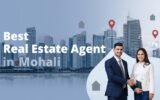 Best real estate agent in Mohali helping buyers find the right property