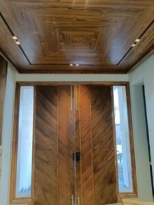 Ultra luxury 250 gaj duplex kothi with lift for sale in Sector 80 Mohali