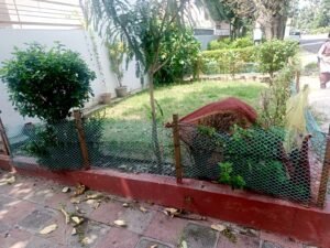 Front exterior of 10 marla kothi for sale in Phase 5 Mohali