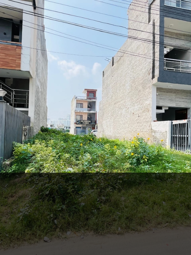 100 Gaj Park-Facing Plot in Sector 77 Mohali