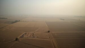 High Court Orders Status Quo on 469-Acre Rajpura Land Amid Dispute Over Industrial Use