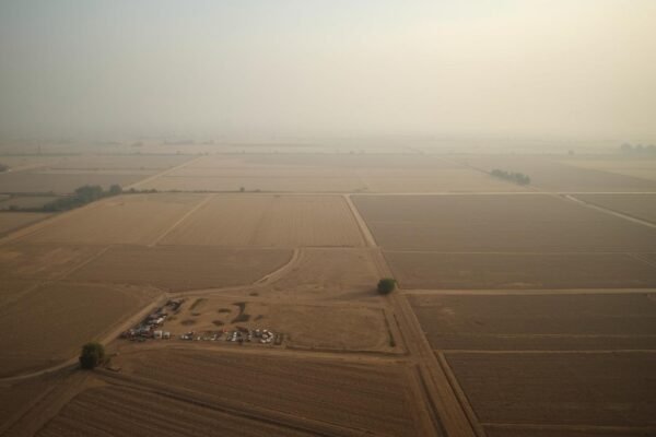 Punjab and Haryana High Court orders status quo on 469-acre Rajpura land - Mohali real estate news 2025